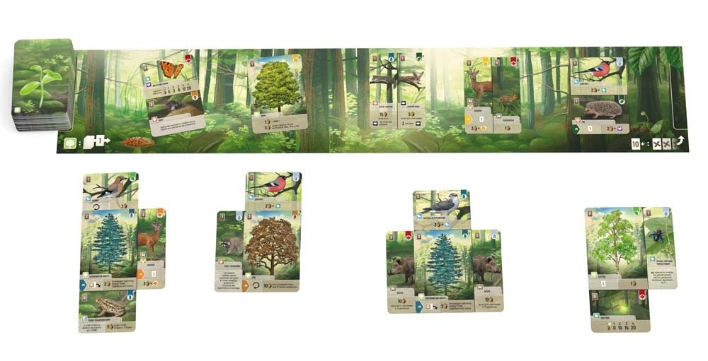 Общий вид "Поляны" и карт игрока