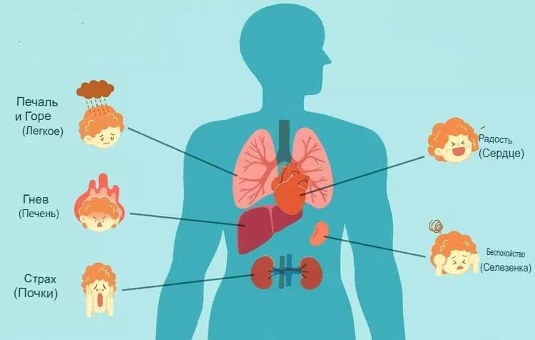    Понимание эмоционально-физических связей — это первый шаг к профилактике проблем со здоровьем. Источник изображения: verywellmind.com