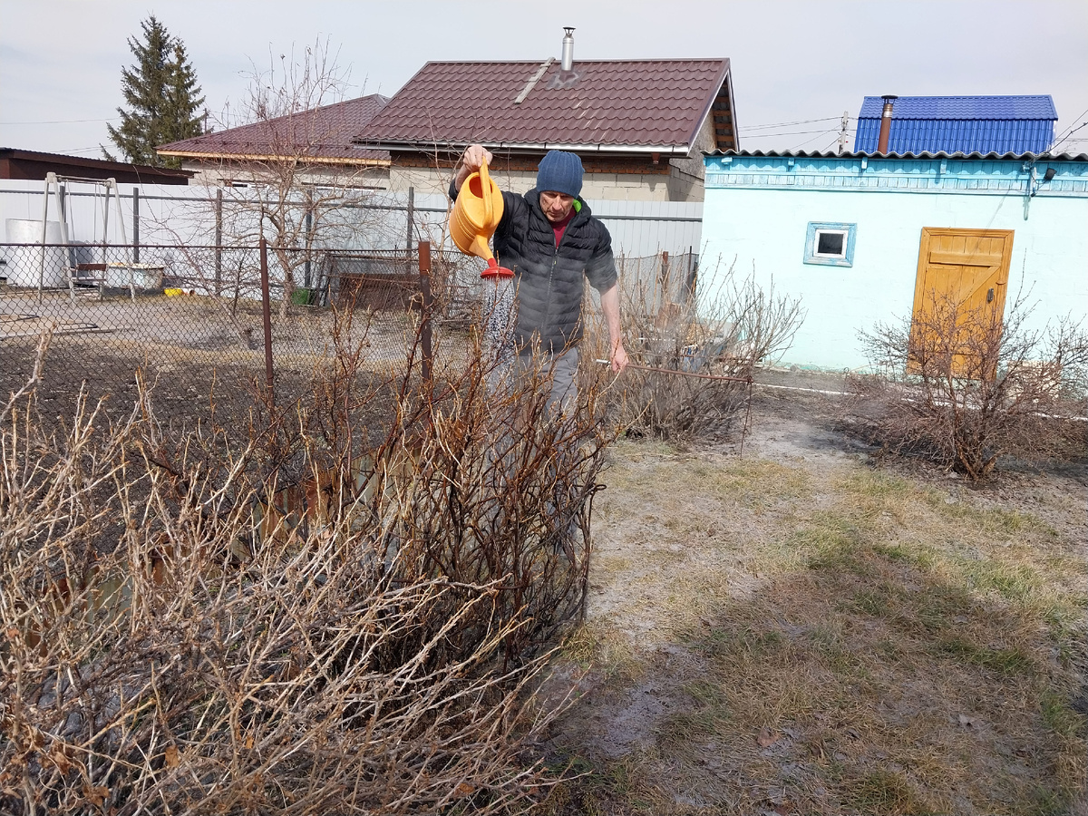 Обратите внимание на газон - всё засыпано пеплом, и так почти везде на открытых участках