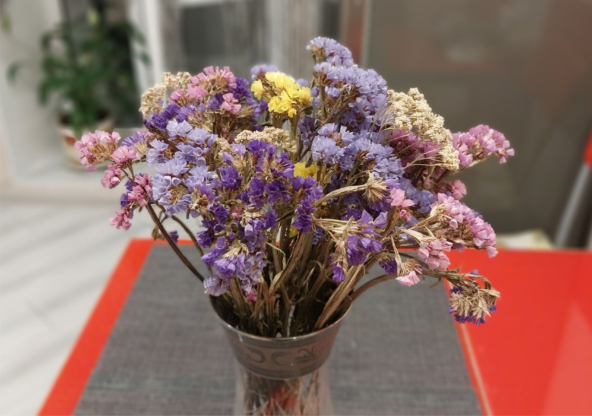 Надеюсь в новом сезоне этот, слегка "уставший" букет заменит новый из собственноручно выращенных цветов статицы.