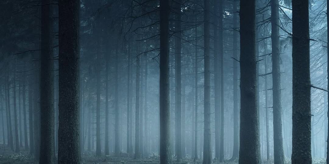 Эти пейзажи завораживают красотой. В сердце дикой природы (20 фото)