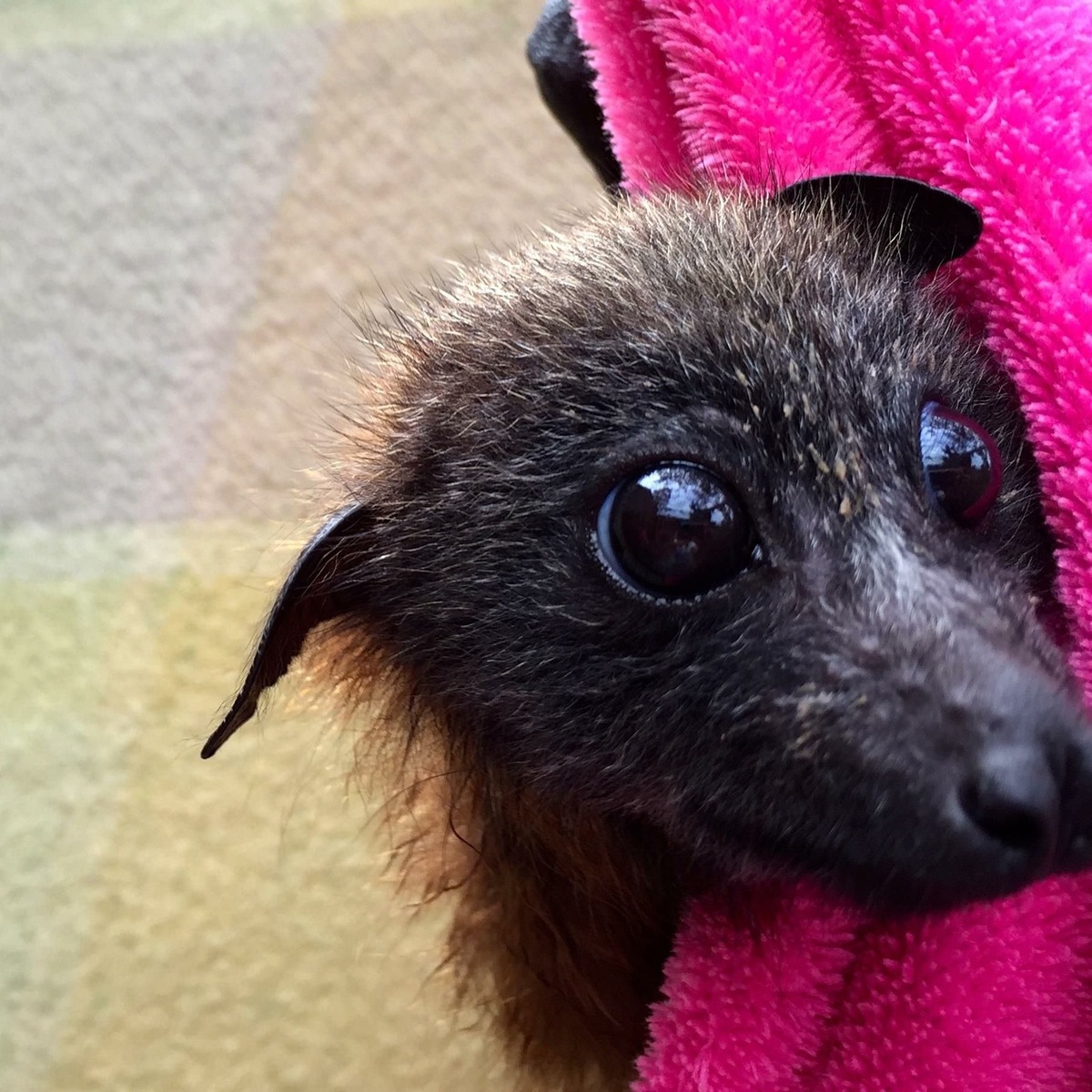 Кадр взят из открытых источников.