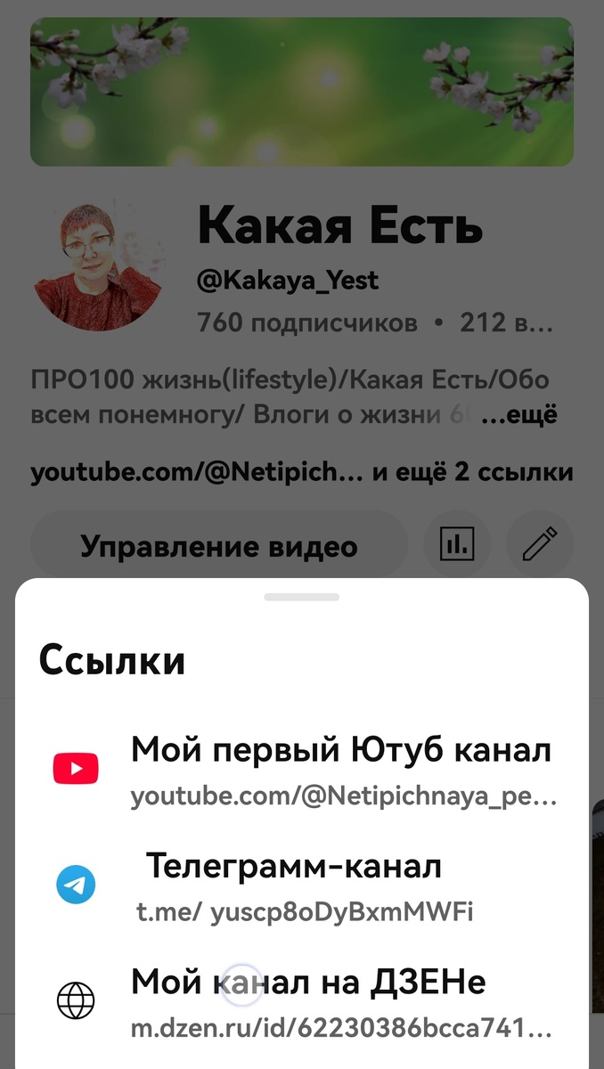 Это мой второй канал на Ютубе, открыла его год назад, работаю на нем практически без взаимок. 
