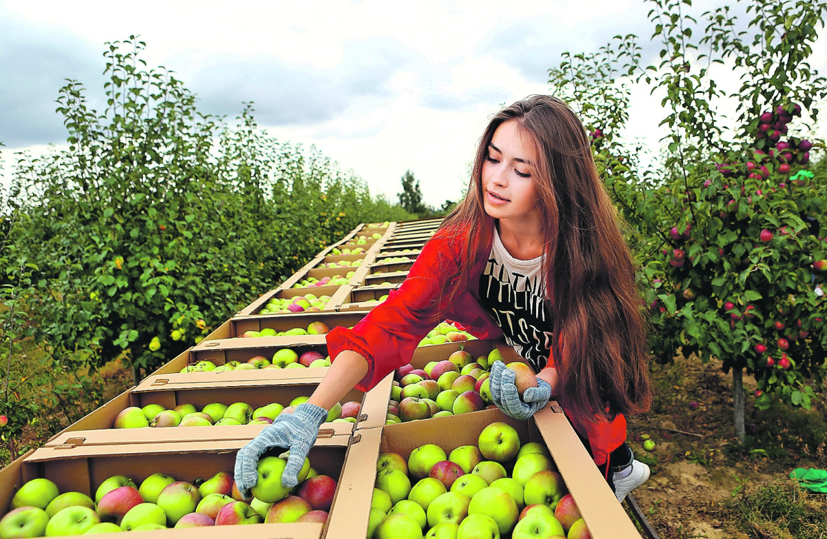 Жаль, что таких красавиц скоро заменят роботы. Фото: БелТА
