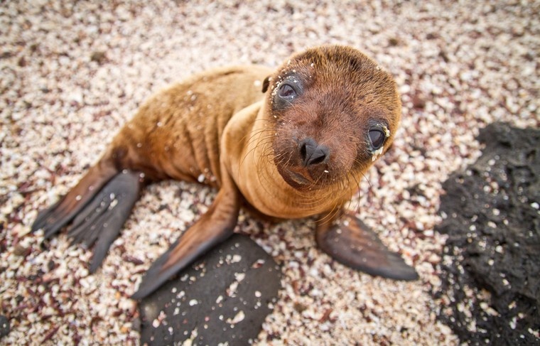    Shutterstock/FOTODOM