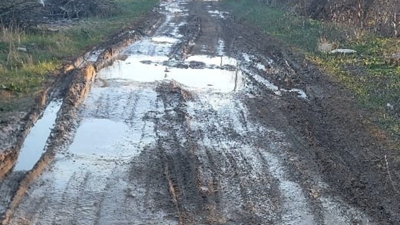      Фото: личный архив Анны Алванджян