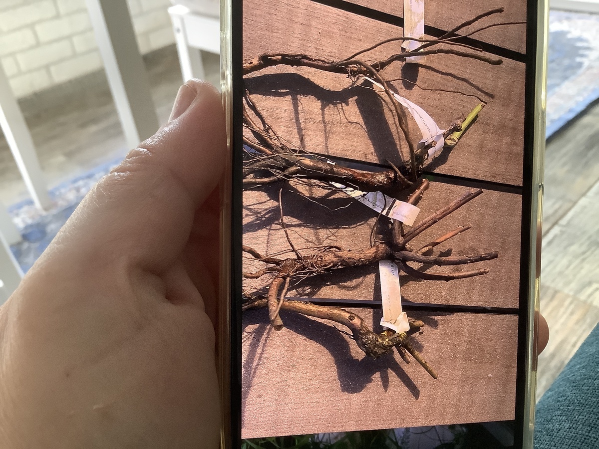 фото Оксаны