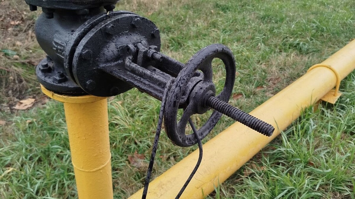    фото: телеканал «Краснодар»