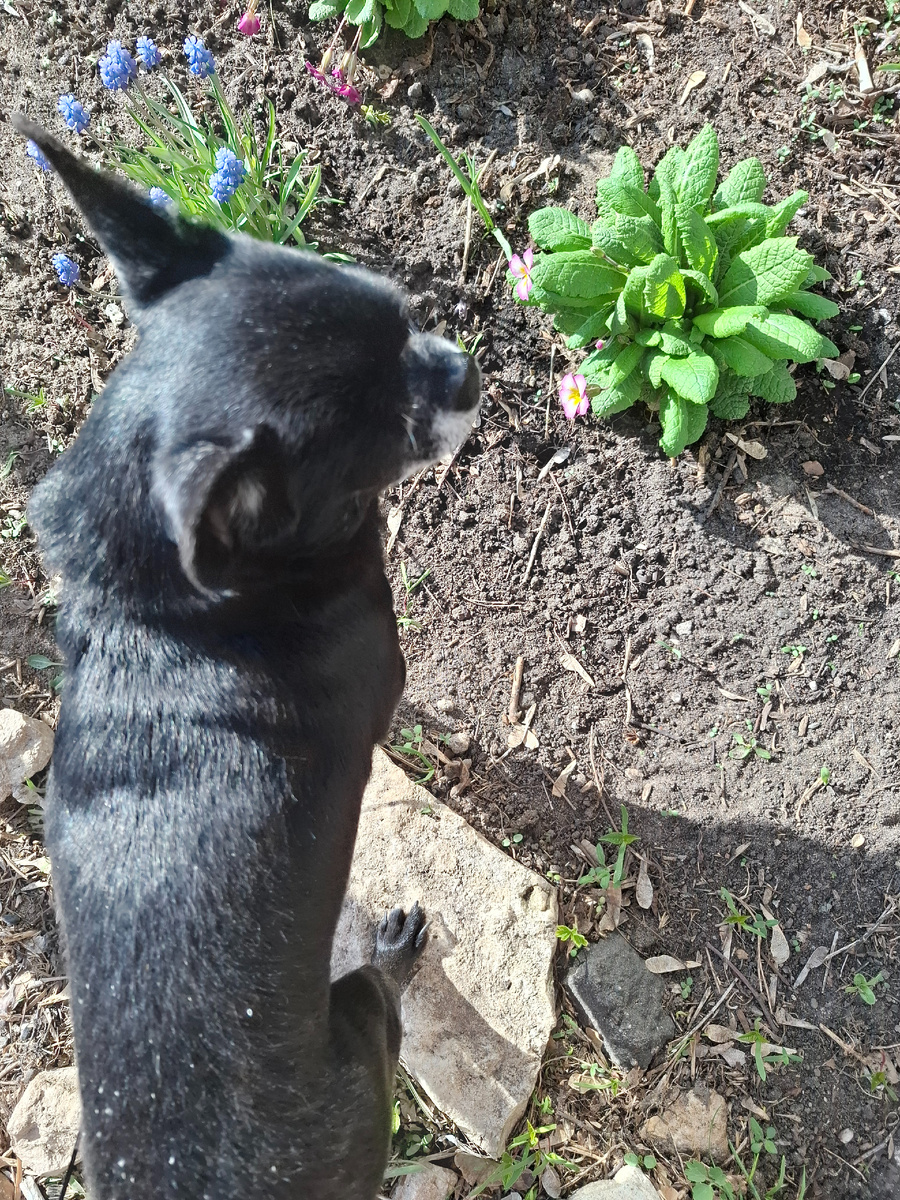 Фото автора канала. 