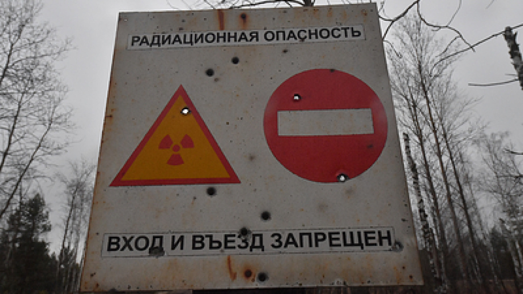    Фото: Komsomolskaya Pravda/Globallookpress