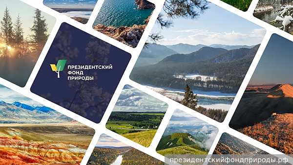    Фото: vz.ru Георгий