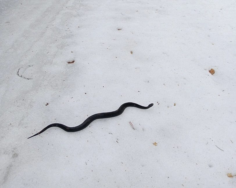    Фото: Степан Ефремов