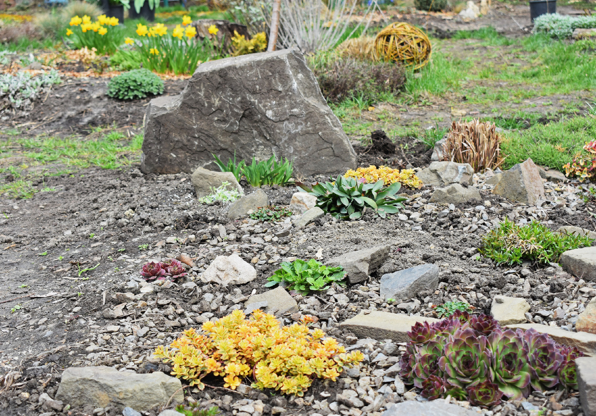 Желтые краски сада