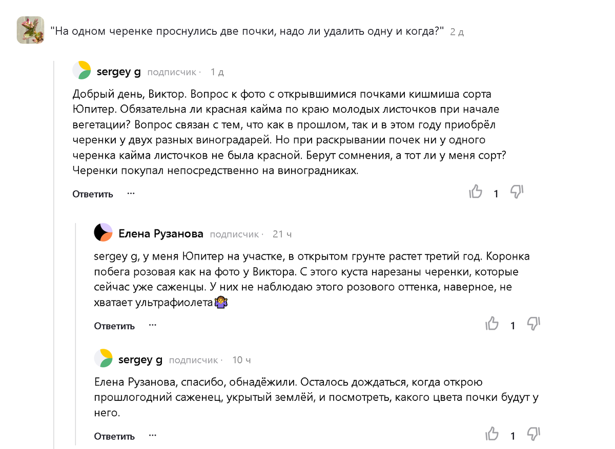 Скриншот из комментариев 
