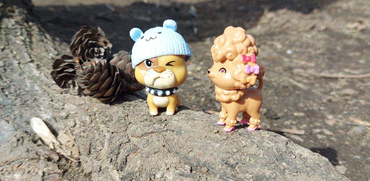 Барбос и Фифа