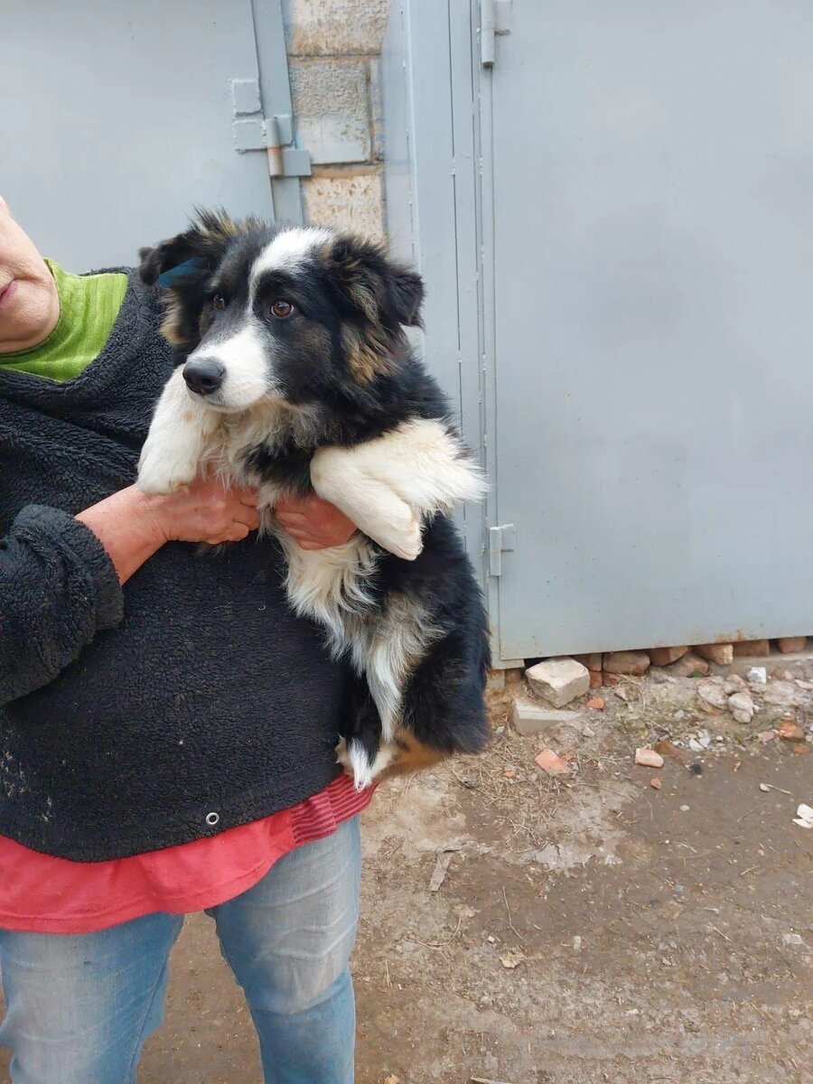 Бридж сразу нам поверила