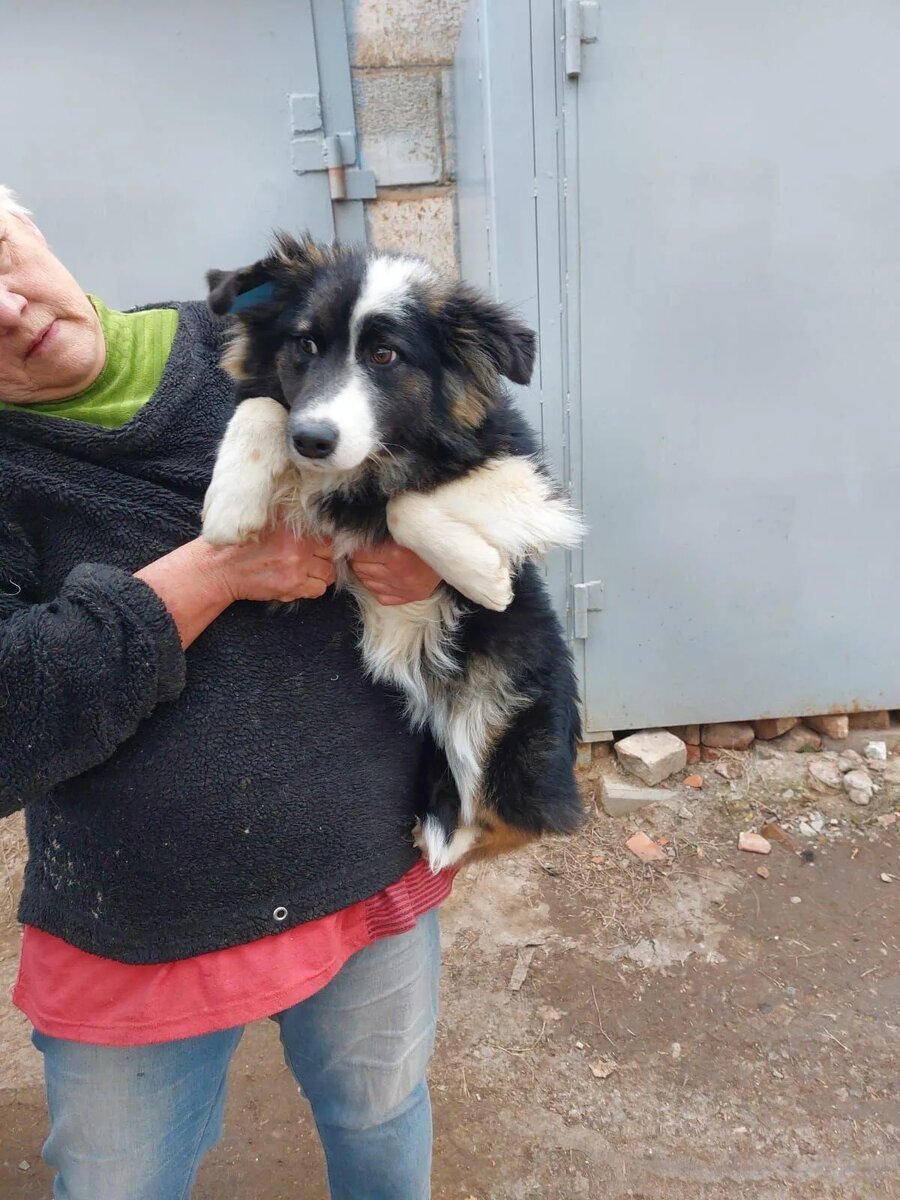Бридж в день спасения