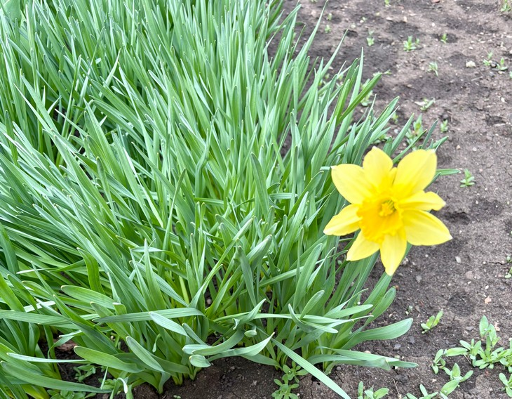 Фото "Родной стороны"