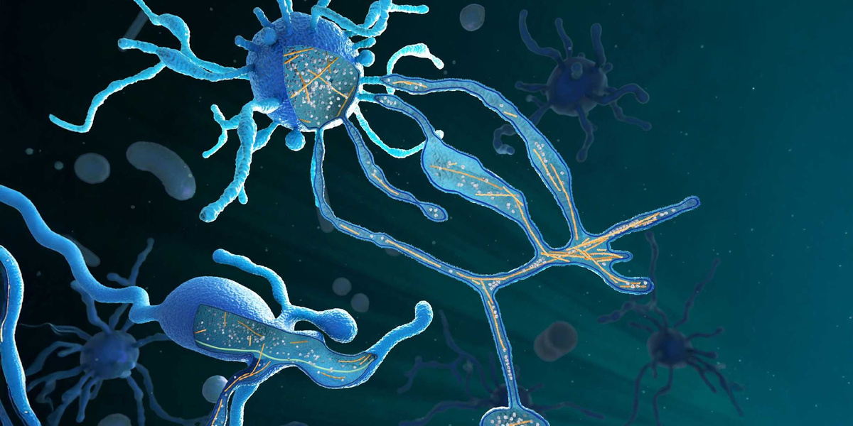Художественное изображение археи Асгард, основанное на данных криоэлектронной томографии: тело клетки и ее придатки имеют нитевидные скелетные структуры, похожие на те, что встречаются в сложных клетках с ядрами. (Графика: Марго Ригги, Институт биохимии Общества Макса Планка)