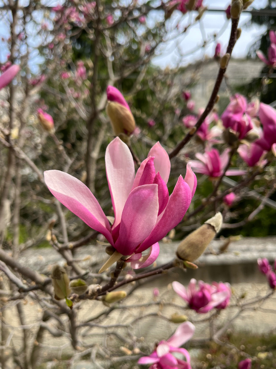 Фото автора.