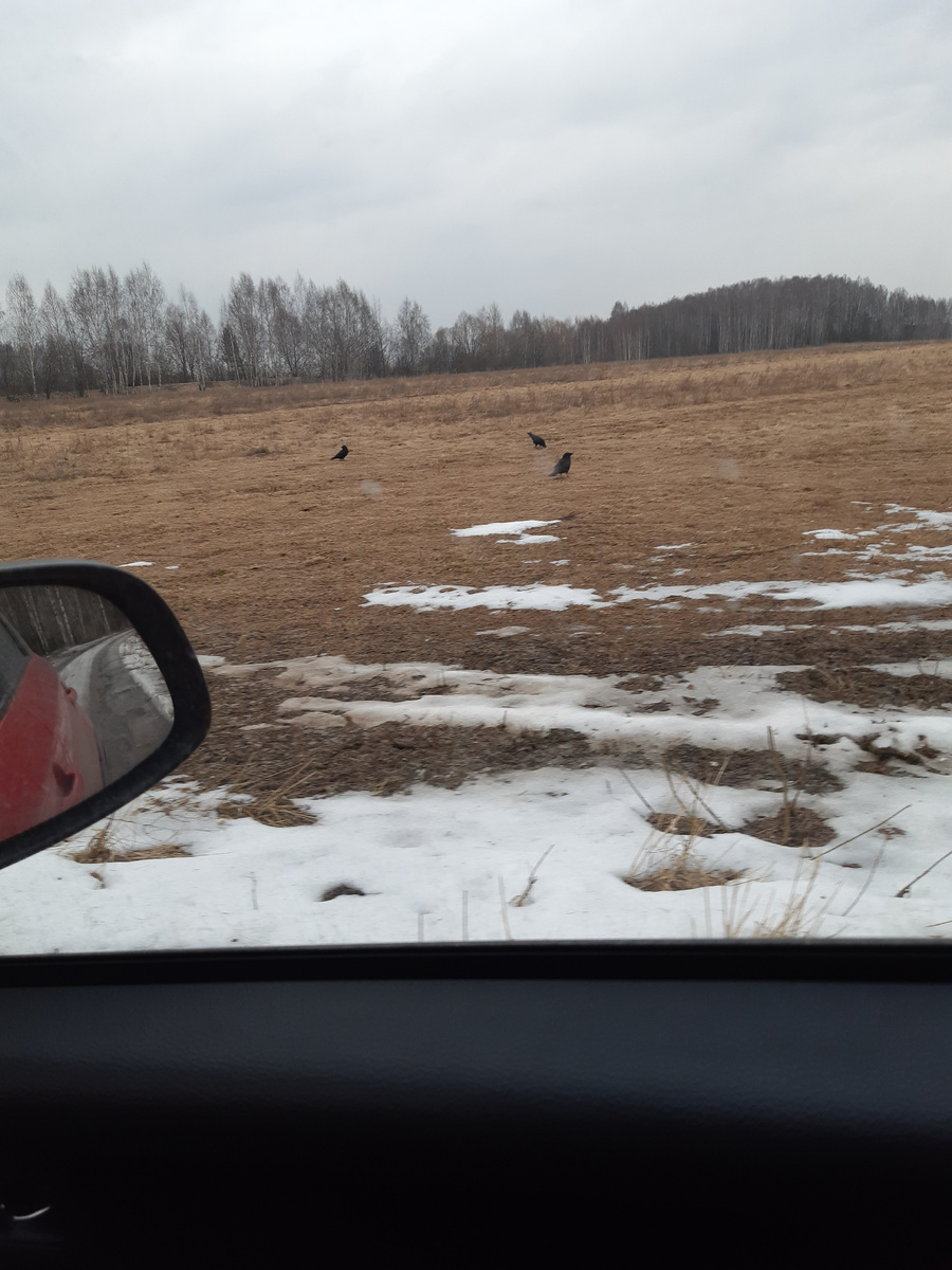 За городом ещё местами снег лежит.