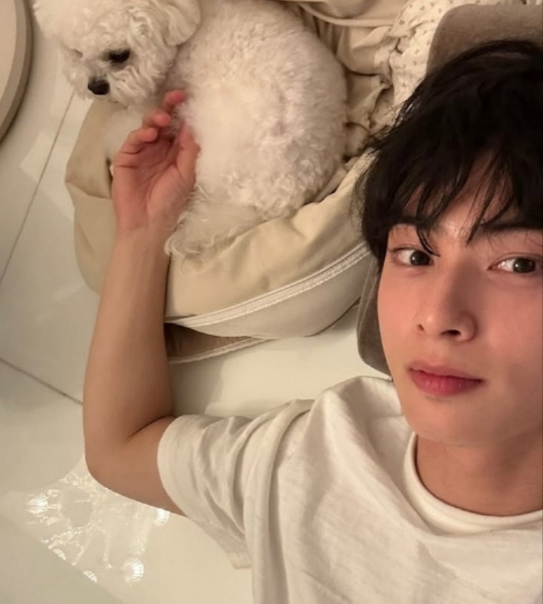 Кадр из интернета 