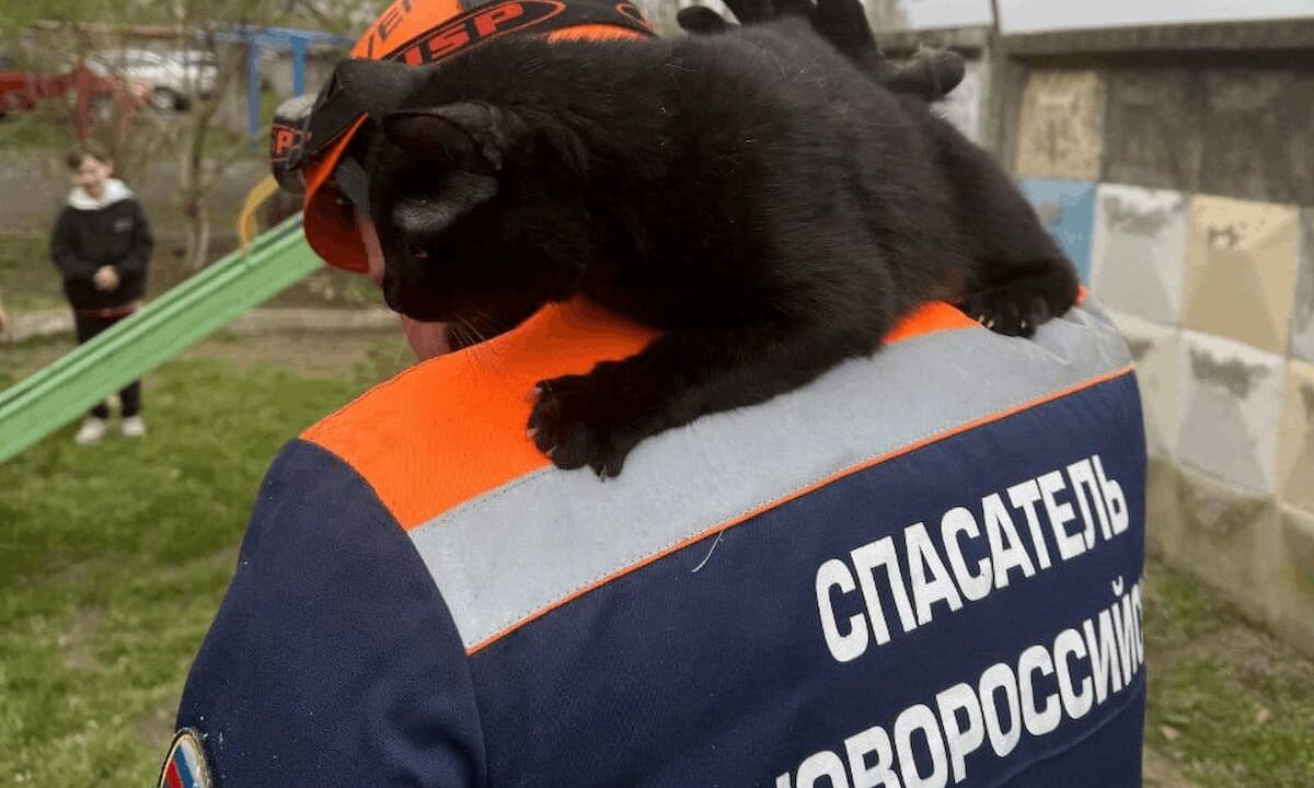    Фото t.me/alekseioderov