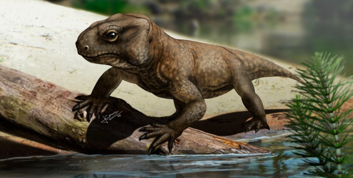 Это Капес (K.signus). И хотя род капесов появился в раннем триасе, он всё ещё оставался частью наземной фауны в среднем триасе.