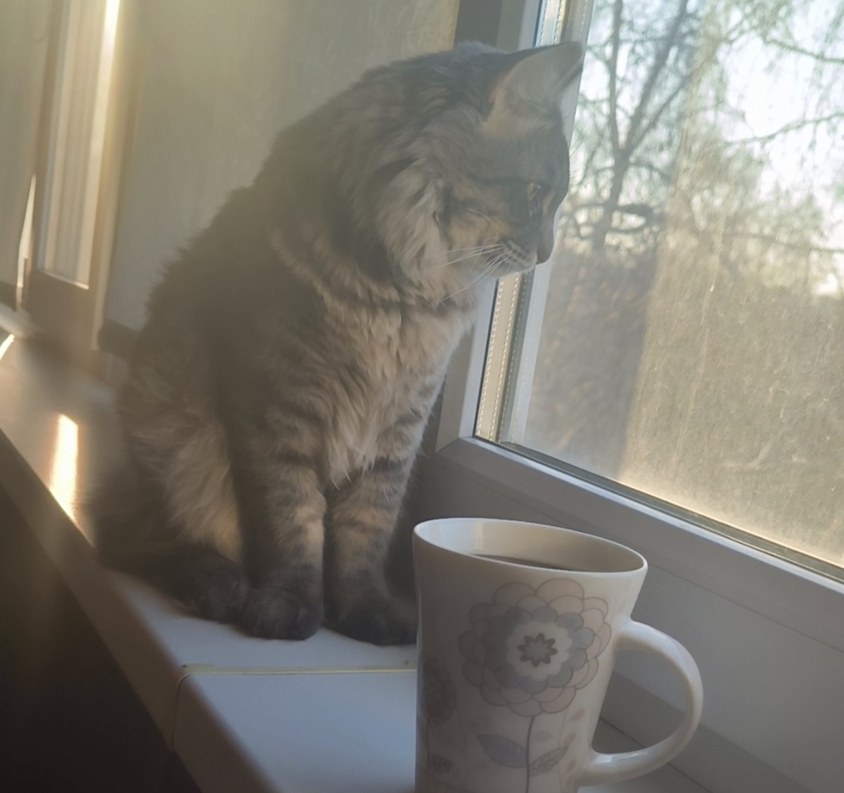 Все фотографии в статье авторские. 