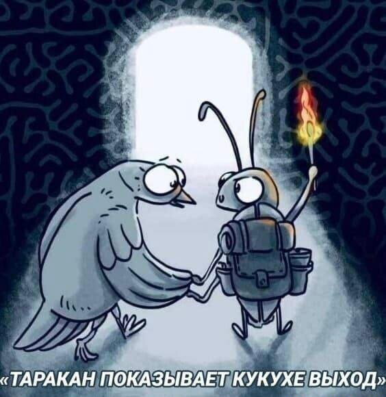 Картинка из интернета