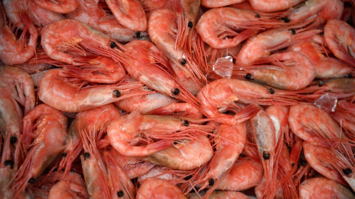 Фото: РИА Новости / Евгений Биятов