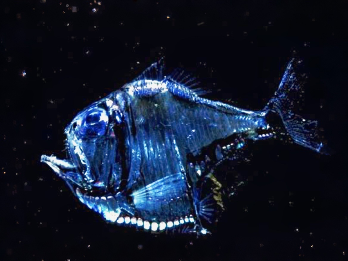 Топорик на охоте 