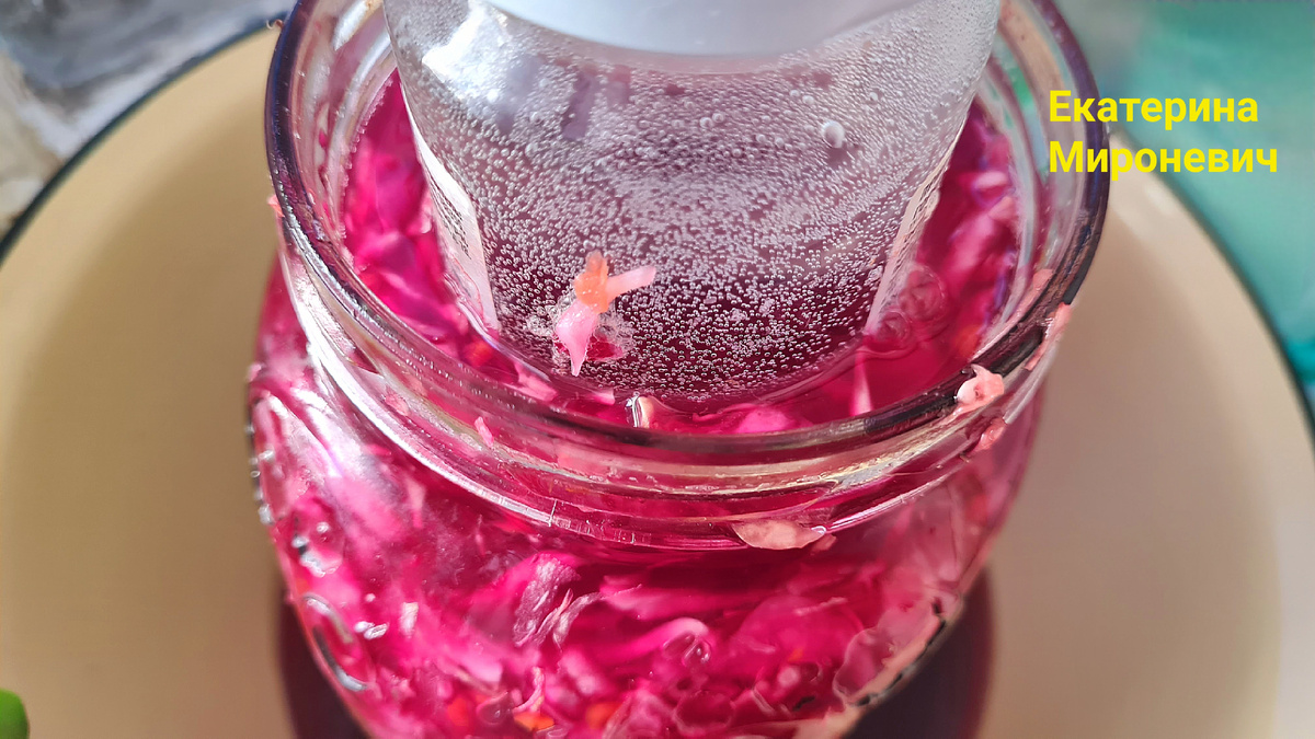 Использую для квашения капусты банку с широким горлышком, ёмк.около 2-х литров.Фото автора.