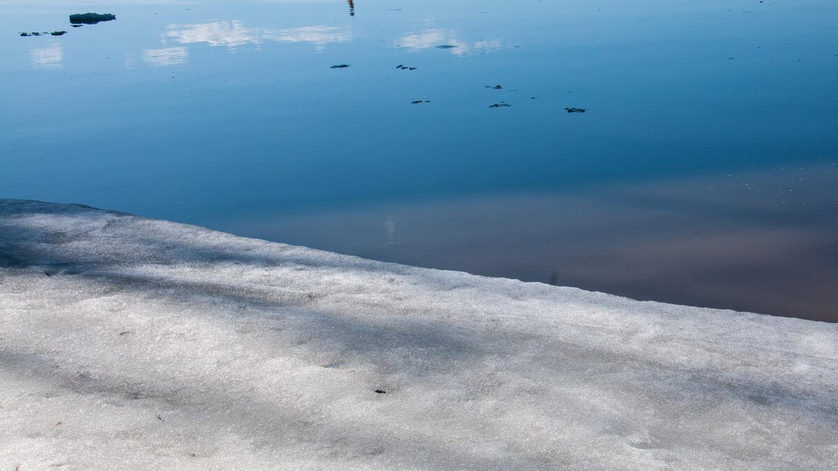    Фото: Svetlana Vozmilova/Global Look Press