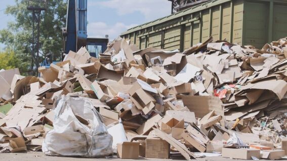 Бесплатный картон на свалке