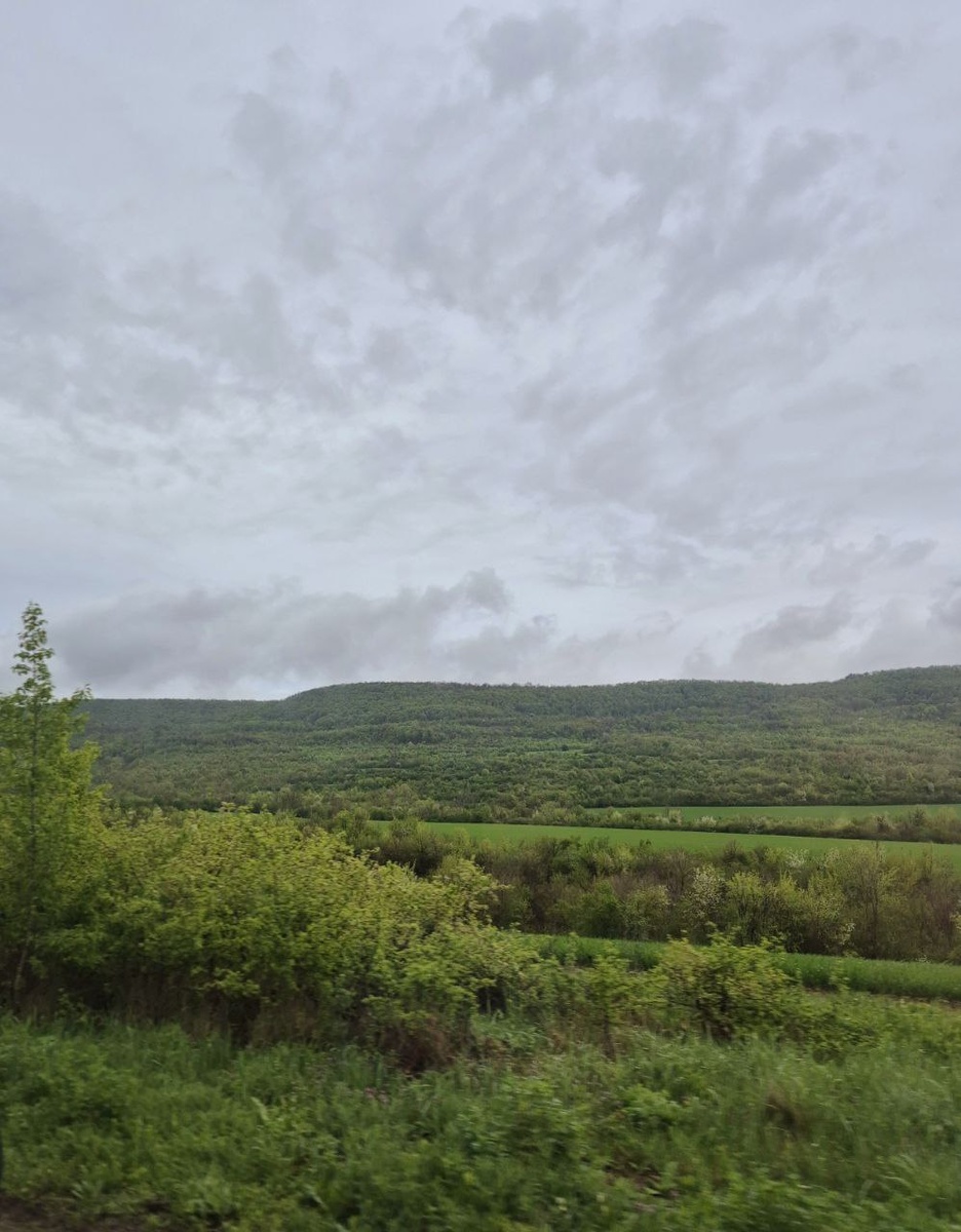 Буйство весны.