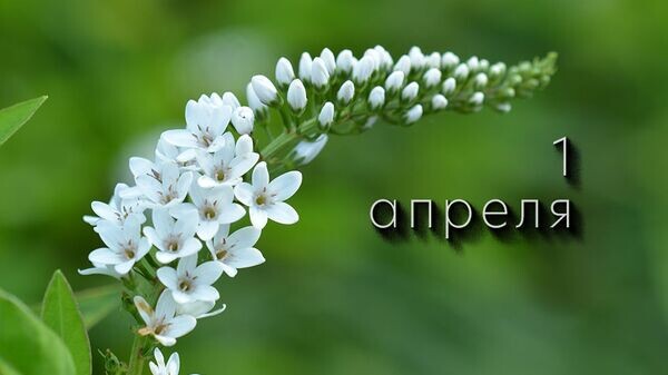    © Photo : Jacob Moseholt: Pexels