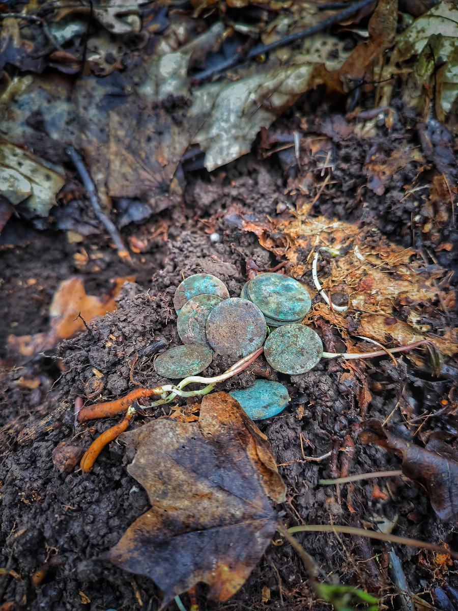 Кучка медных монет. 