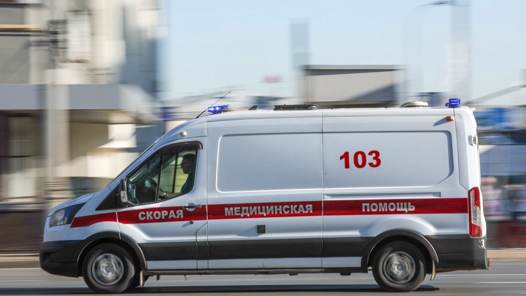    фото: Belkin Alexey/news.ru