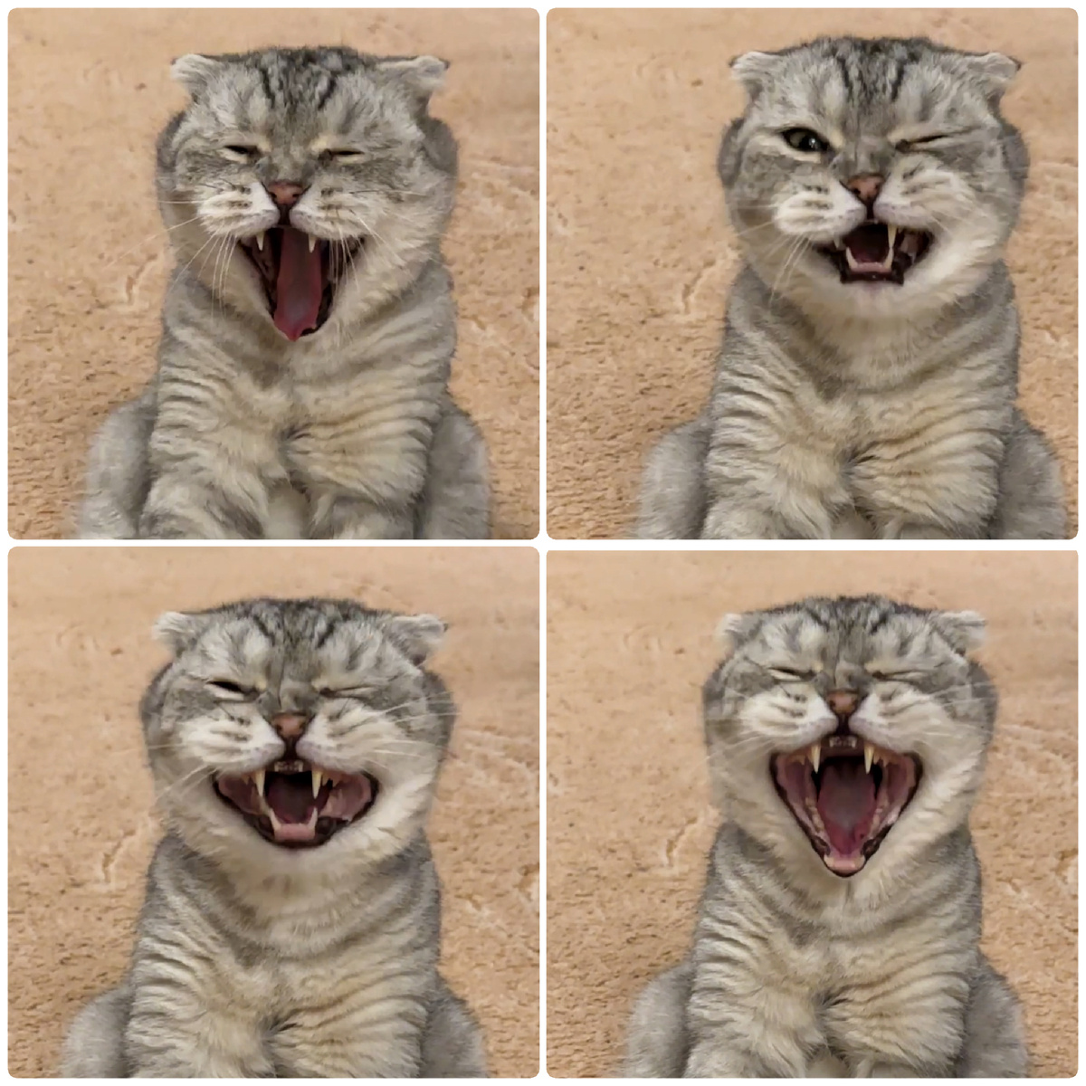 Какая улыбочка больше понравилась?😻