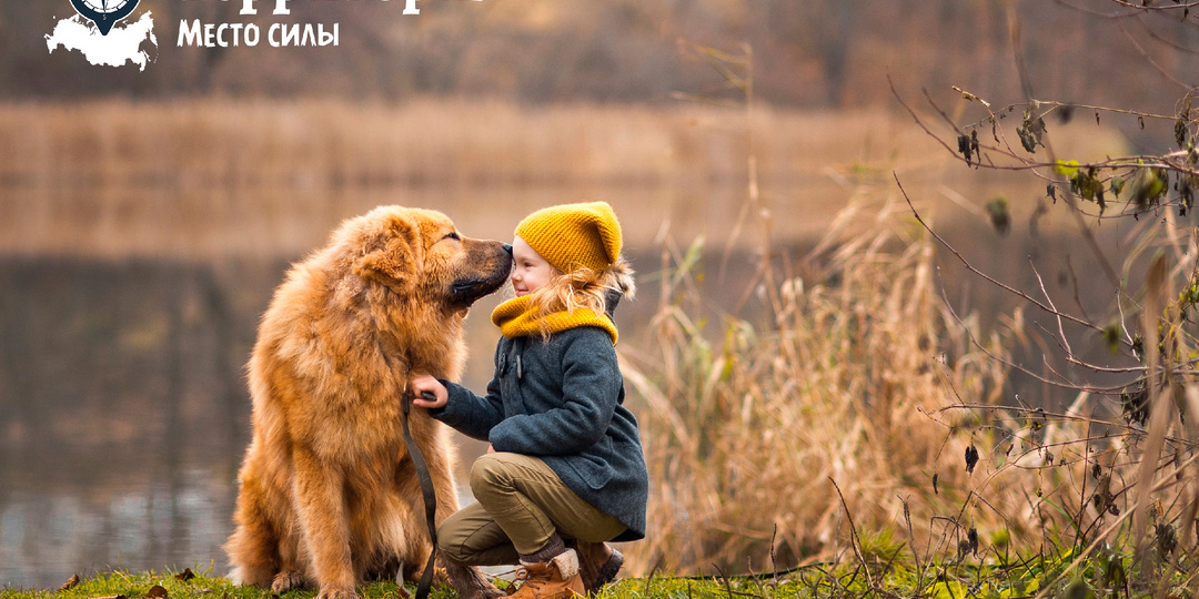 Можно ли заводить собаку, если в семье маленький ребенок?