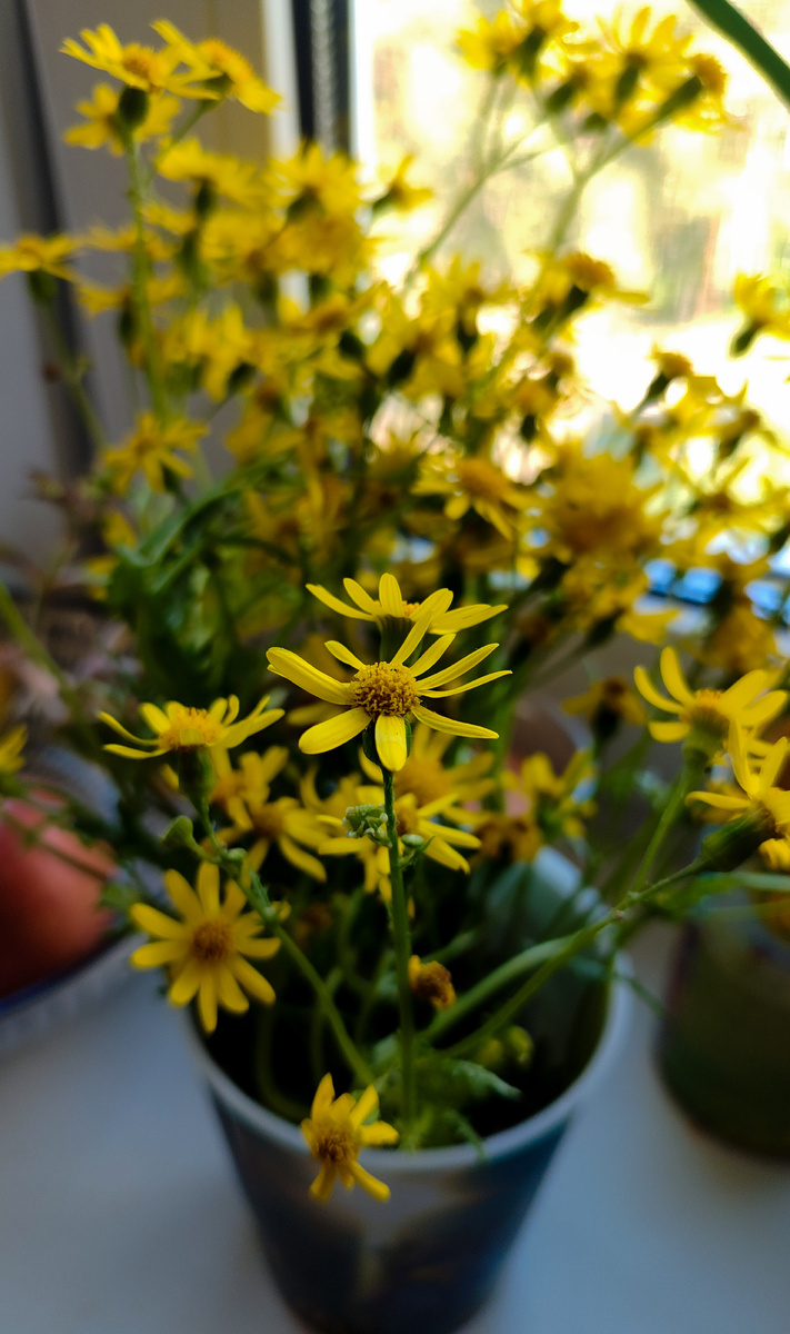 Фото автора для разбавления текста. 