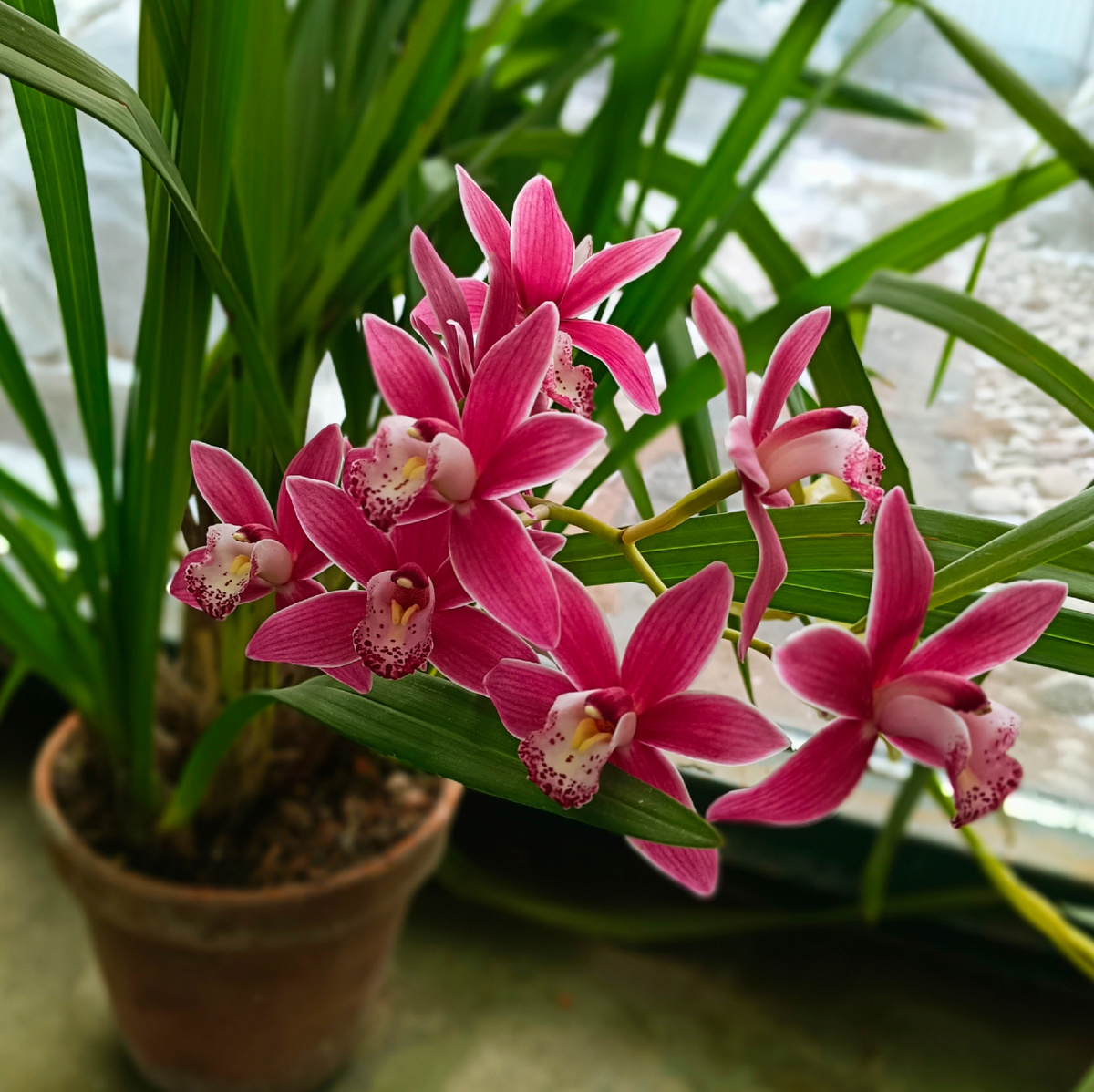 Фото из личного архива автора