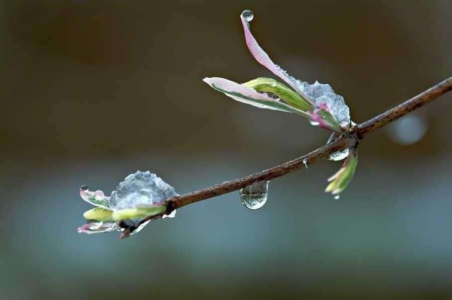 Изображение из открытых источников