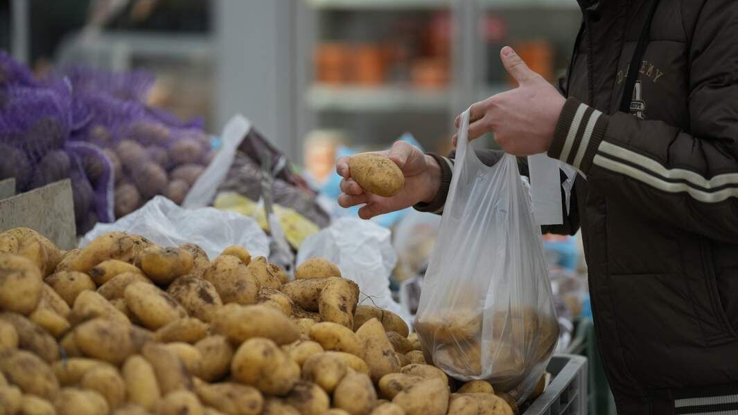    Фото: ИЗВЕСТИЯ/Дмитрий Коротаев