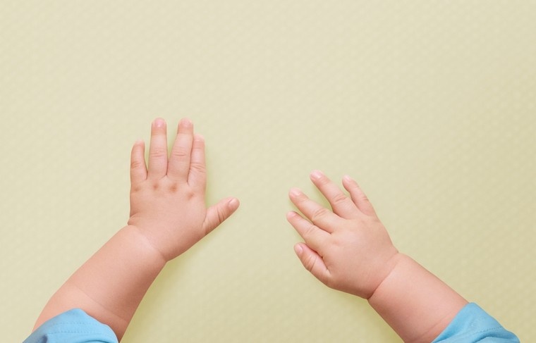    Shutterstock/FOTODOM