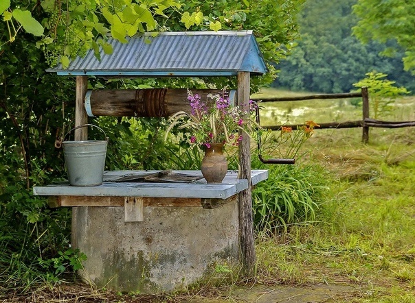 Законный правообладатель данного фото: Яндекс Картинки