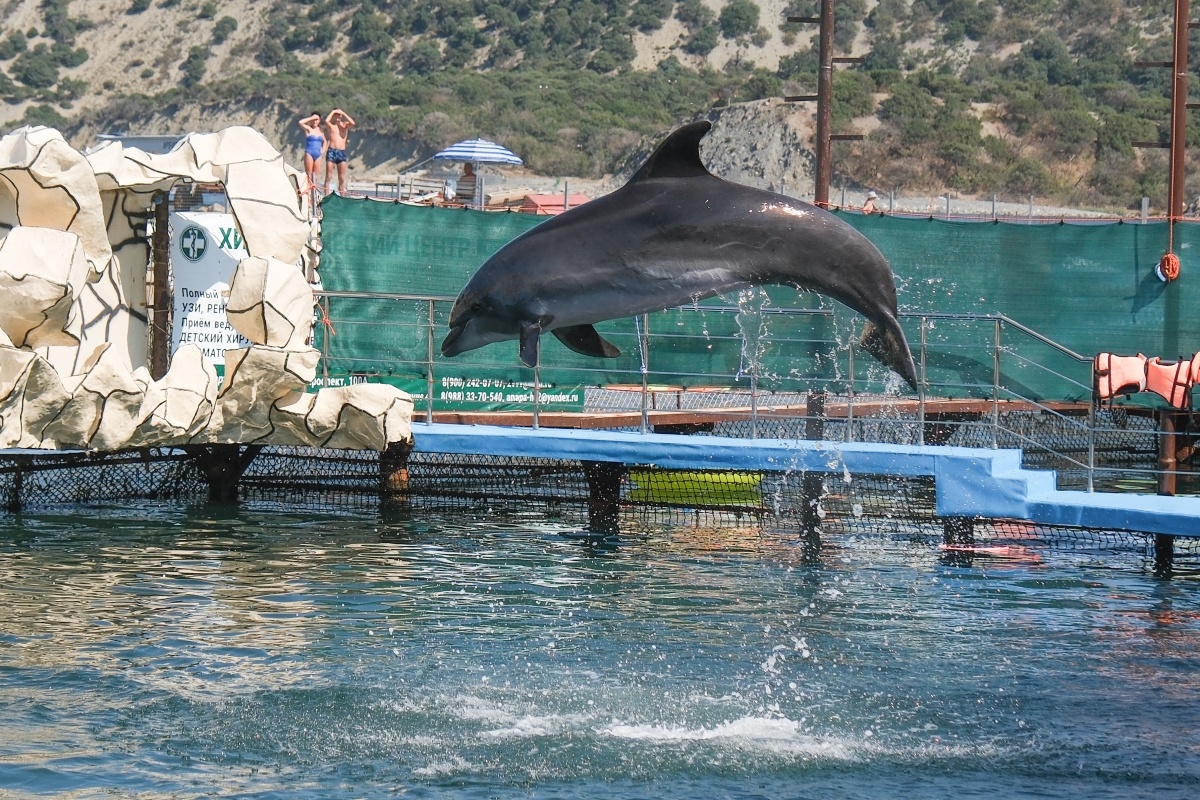Фото: Михаил Ступин