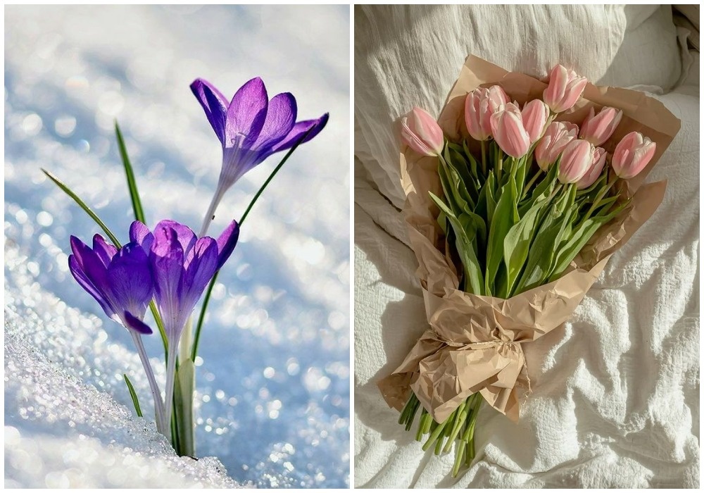 1. Март-Апрель. Bright Spring - Warm Spring. Иллюстрации из открытых источников в сети. Коллажи авторские.