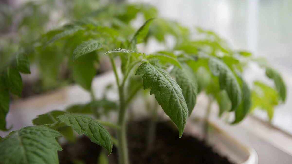     Источник: freepik.com